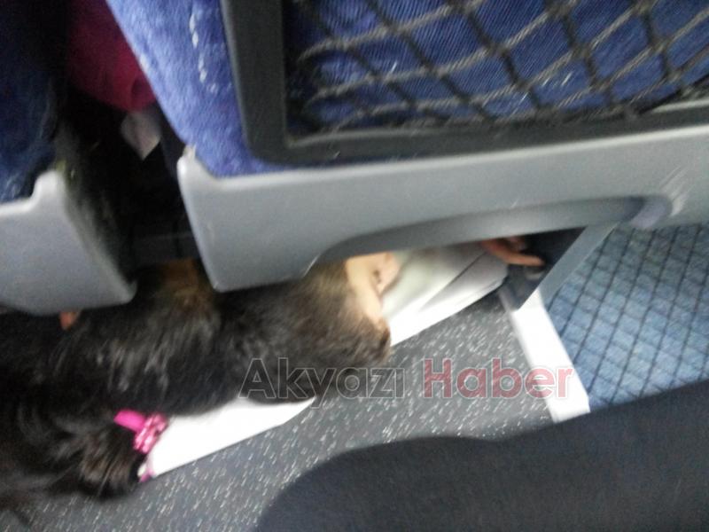 Koltuk Altında Yolculuk