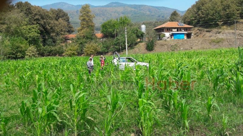 Otomobil Mısır Tarlasına Uçtu