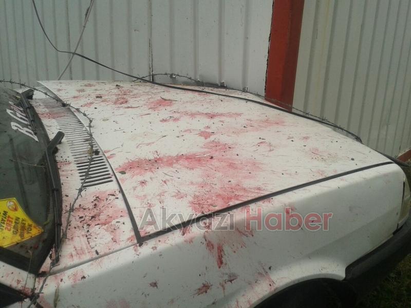 Otomobil Sürücüsü Konteynıra Çarptı 