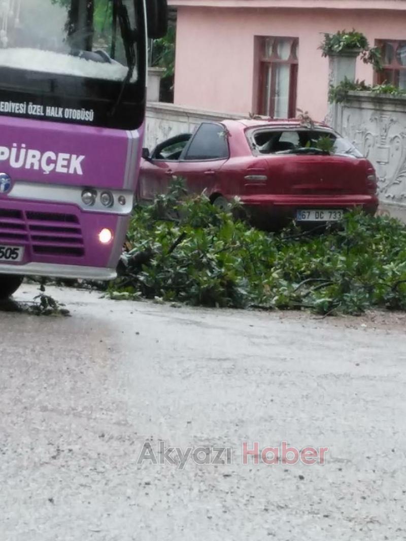  Otomobilin Üstüne Ağaç Düştü