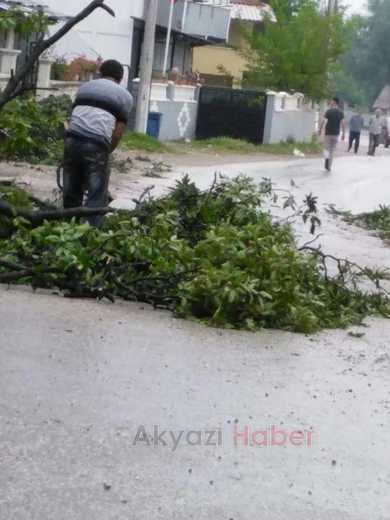  Otomobilin Üstüne Ağaç Düştü