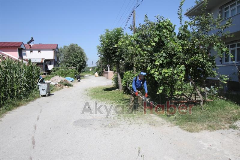 PARK BAHÇELER EKİPLERİ ÇALIŞMALARINA ARALIKSIZ DEVAM EDİYOR