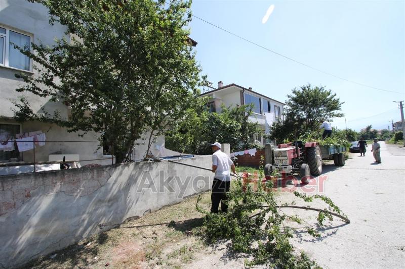 PARK BAHÇELER EKİPLERİ ÇALIŞMALARINA ARALIKSIZ DEVAM EDİYOR