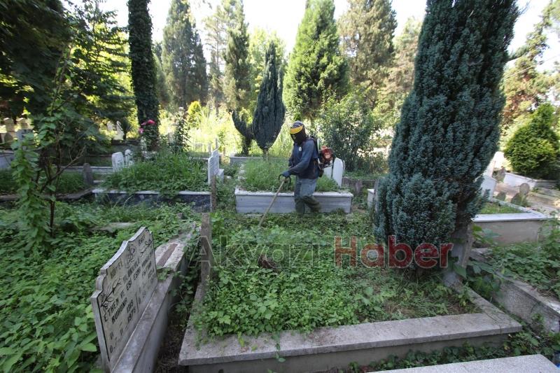 PARK BAHÇELER EKİPLERİ ÇALIŞMALARINA ARALIKSIZ DEVAM EDİYOR