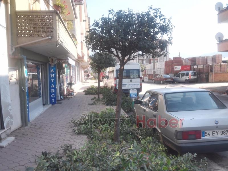 PARK VE BAHÇELER AĞAÇ BUDAMA ÇALIŞMALARINA BAŞLADI