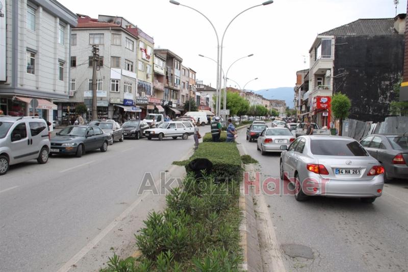 PARK VE BAHÇELER AĞAÇ BUDAMA ÇALIŞMALARINA BAŞLADI