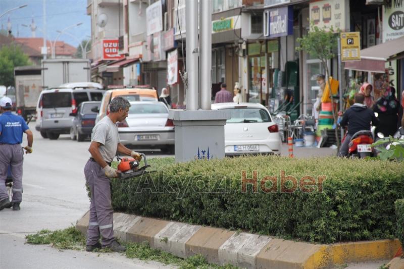 PARK VE BAHÇELER AĞAÇ BUDAMA ÇALIŞMALARINA BAŞLADI