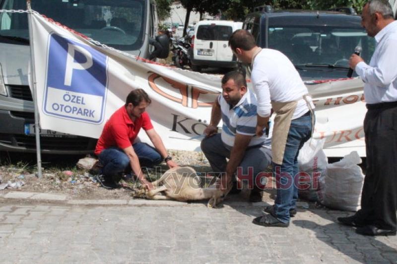 RE-HA Konsept Dualarla Açıldı