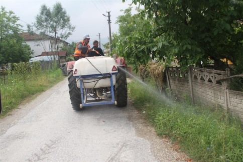 Akyazı Belediyesinden Sel Sonrası İlaçlama Çalışmaları 
