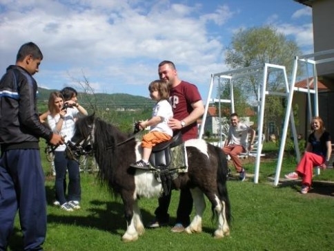 Yeni Doğan Minik Midilli Ziyaretçilere Neşe Saçıyor.