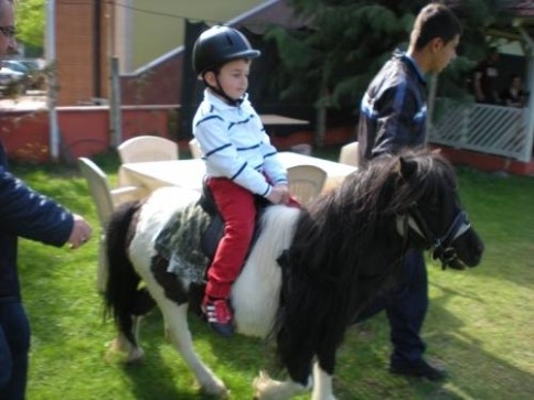 Yeni Doğan Minik Midilli Ziyaretçilere Neşe Saçıyor.