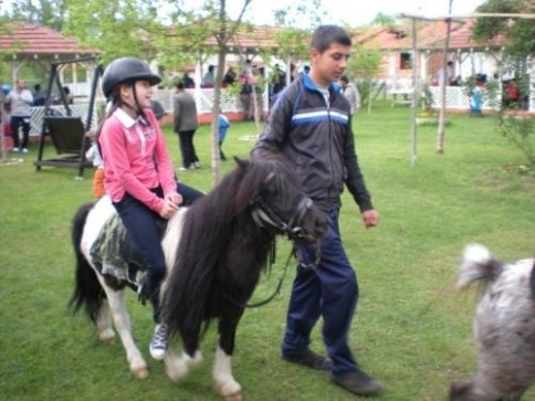 Yeni Doğan Minik Midilli Ziyaretçilere Neşe Saçıyor.