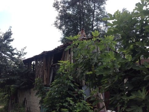 Eve Atılan Esrarengiz Taşlar Korku ve Paniğe Neden Oldu