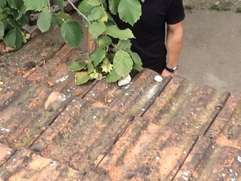 Eve Atılan Esrarengiz Taşlar Korku ve Paniğe Neden Oldu