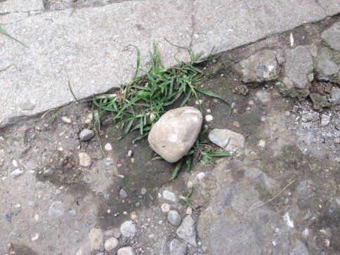 Eve Atılan Esrarengiz Taşlar Korku ve Paniğe Neden Oldu