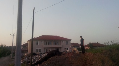 Kedi direkten güçlükle indirildi 