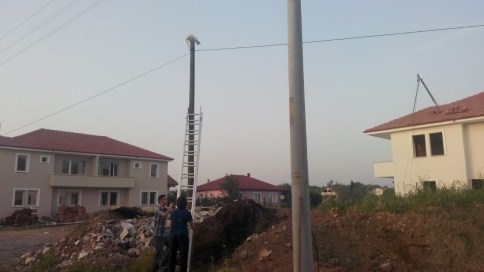 Kedi direkten güçlükle indirildi 