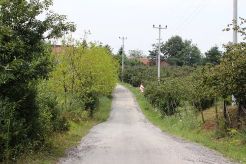 Muhtar Gülyabani Olayını Yalanladı