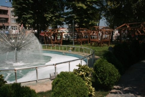 Akyazı Belediyesi Aile Parkına Yeni Kamelyalar…