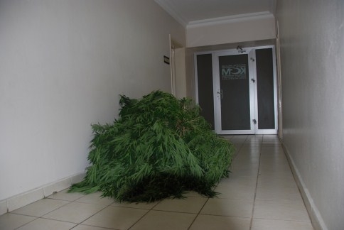 Akyazı’da Uyuşturucu Operasyonu