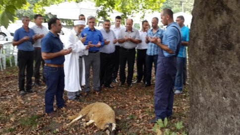 Akbalık Güreşleri Yarın