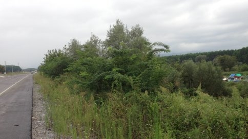 Derenin İçine Çadır Kurdular