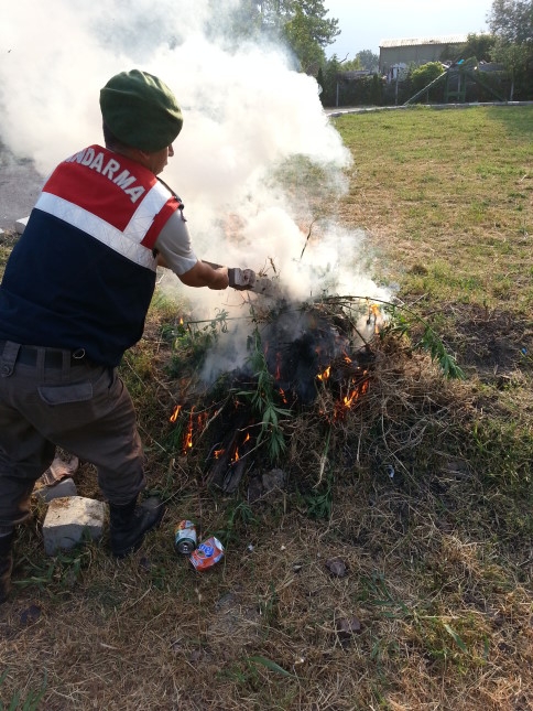 İl Jandarma Ekiplerinden Sakarya'da Uyuşturucuya Darbe