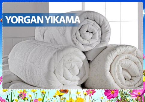 Halılarınız Çiçek Gibi Olsun