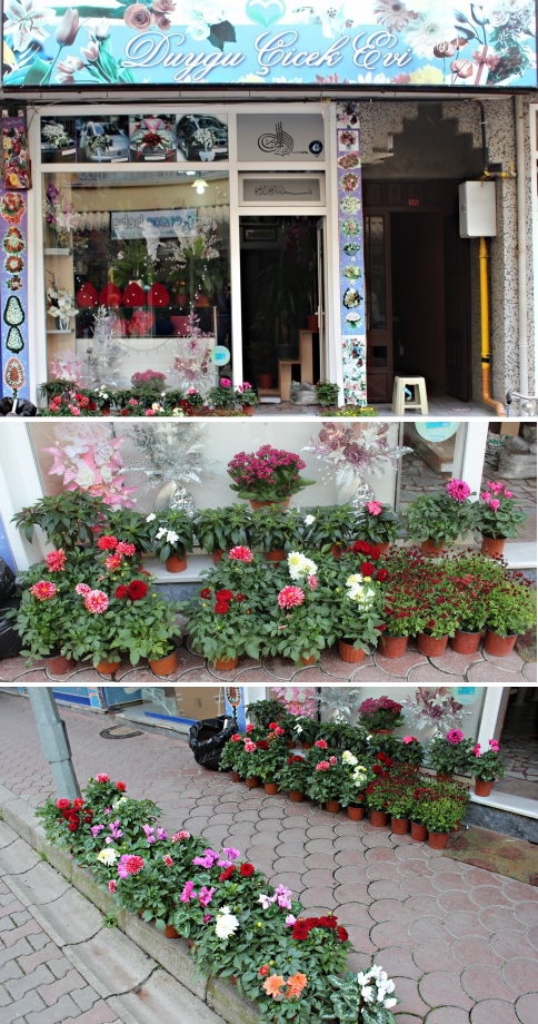 Şimdi Akyazı’da Çiçek Göndermek Hem Çok Kolay, Hem Çok Ekonomik! 