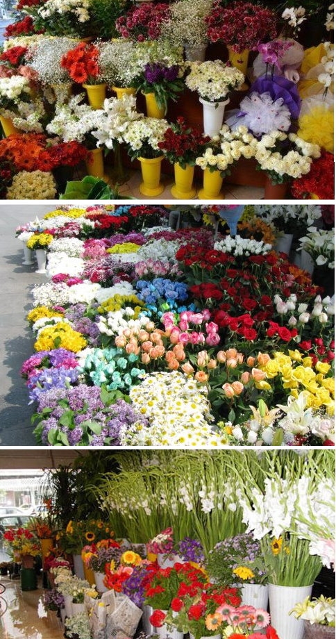 Şimdi Akyazı’da Çiçek Göndermek Hem Çok Kolay, Hem Çok Ekonomik! 