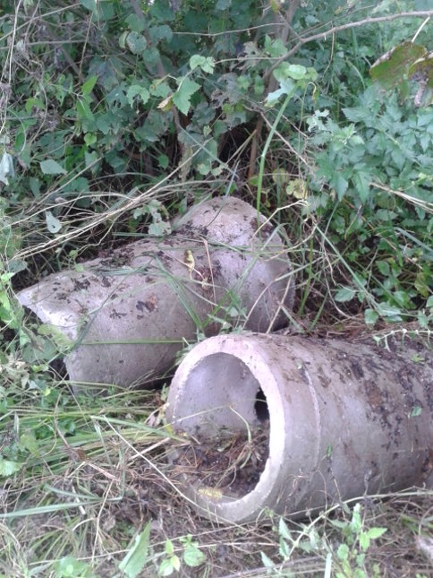 Dere Kenarları Künklerle Dolu