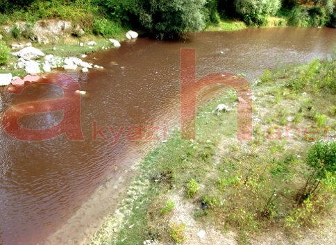 Flaş Flaş Çevreyi Kirleten O Fabrikaya Kapatma Kararı