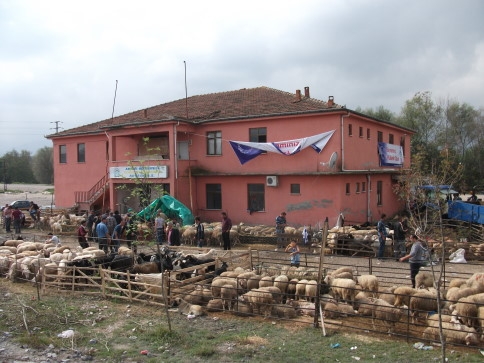 Hayvan Pazarında Arife Yoğunluğu