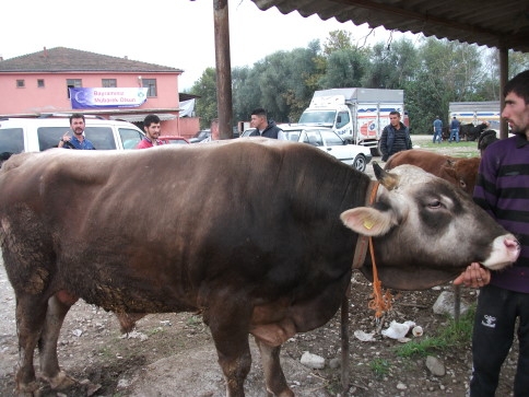 Hayvan Pazarında Arife Yoğunluğu