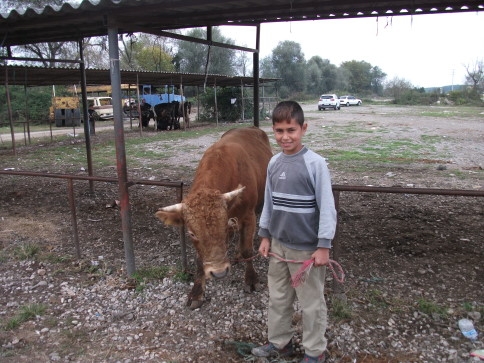 Hayvan Pazarında Arife Yoğunluğu