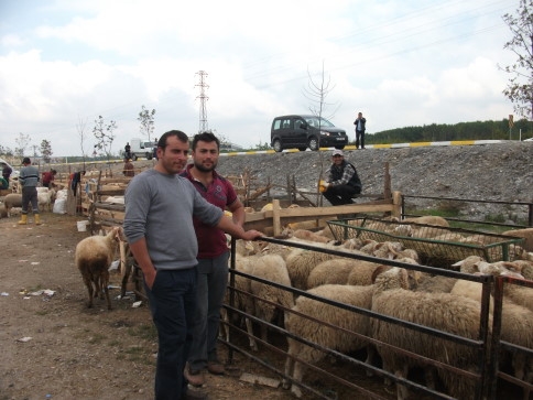 Hayvan Pazarında Arife Yoğunluğu