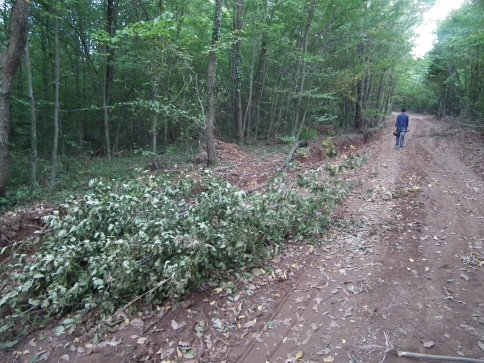 Aksartepe Projesi Akcan'ın Talimatı İle Start Aldı