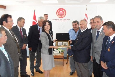 Gaziler Akyazı’ya Döndü 