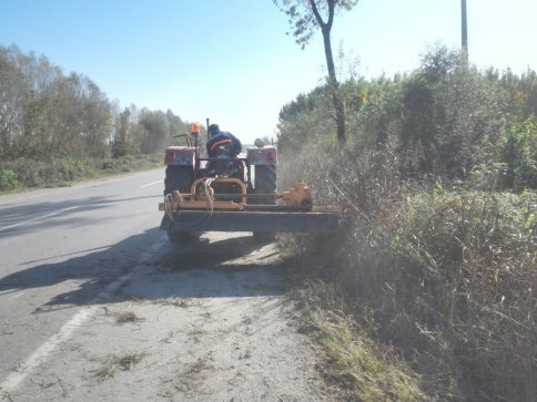 Akyazı Belediyesi'nden Peyzaj Bakım Çalışmaları