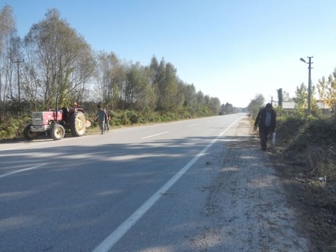 Akyazı Belediyesi'nden Peyzaj Bakım Çalışmaları