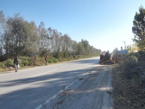 Akyazı Belediyesi'nden Peyzaj Bakım Çalışmaları