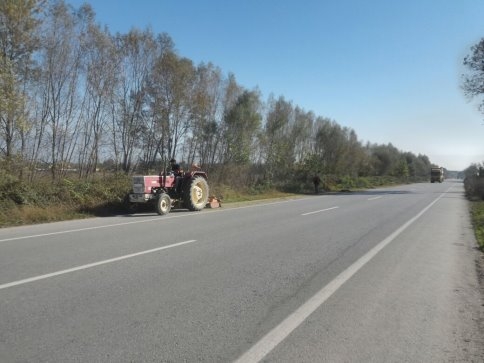 Akyazı Belediyesi'nden Peyzaj Bakım Çalışmaları