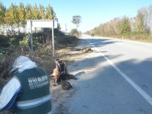 Akyazı Belediyesi'nden Peyzaj Bakım Çalışmaları