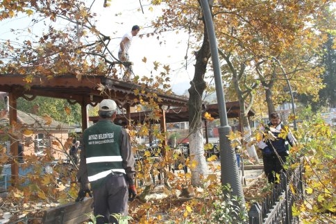 Pazarköy Merkez Peyzaj Çalışması