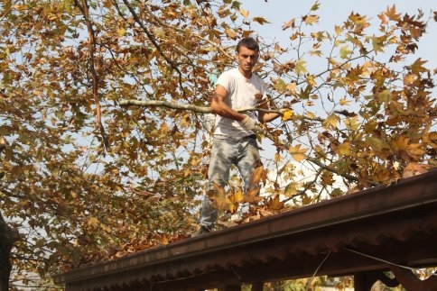 Pazarköy Merkez Peyzaj Çalışması