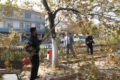 Pazarköy Merkez Peyzaj Çalışması