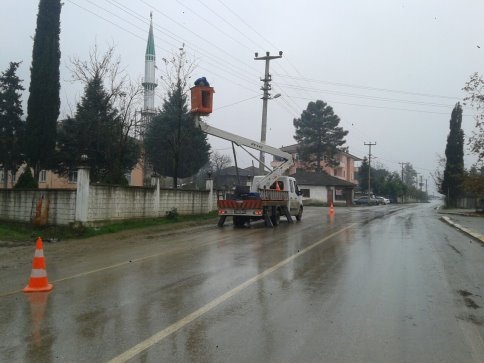 Tehlike Saçan Darı Kestiler