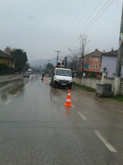 Tehlike Saçan Darı Kestiler