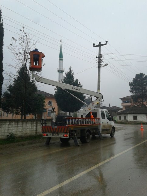 Tehlike Saçan Darı Kestiler