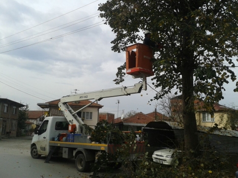 Tehlike Saçan Darı Kestiler